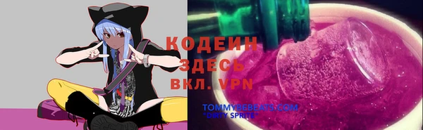 гидра Аркадак