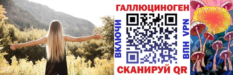darknet какой сайт  купить наркоту  ОМГ ОМГ маркетплейс  Чапаевск  Галлюциногенные грибы Psilocybe 